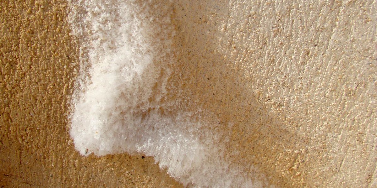 Salpêtre sur les murs : comprendre et traiter ce fléau