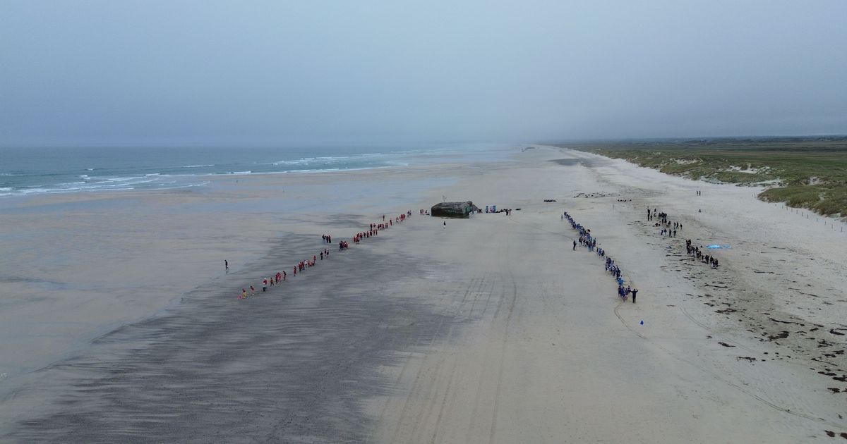 Erosion et éducation : les enfants s'engagent pour la dune de Saint-Jean-Trolimon