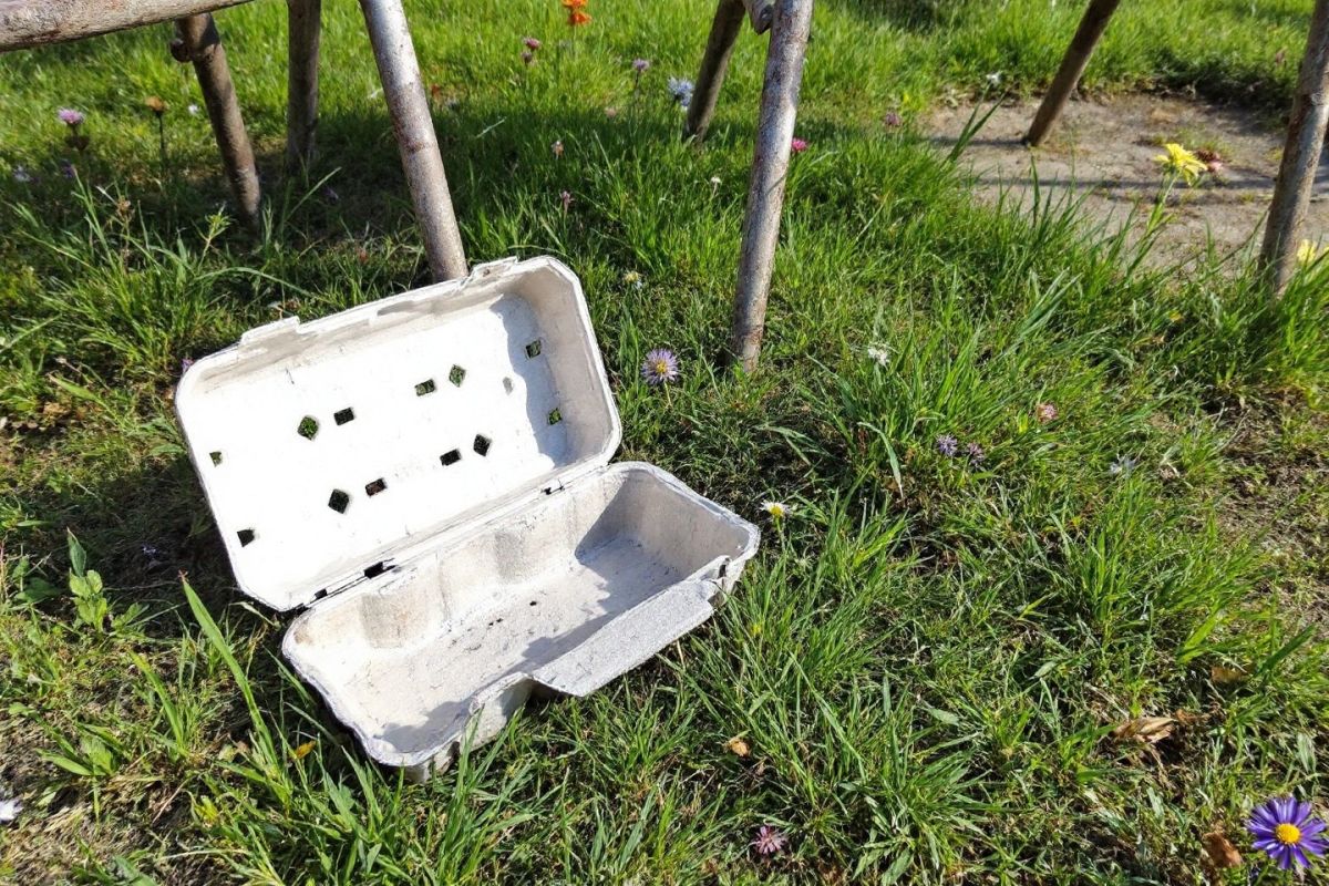 Transformez votre boîte d'œufs en un piège naturel contre les limaces
