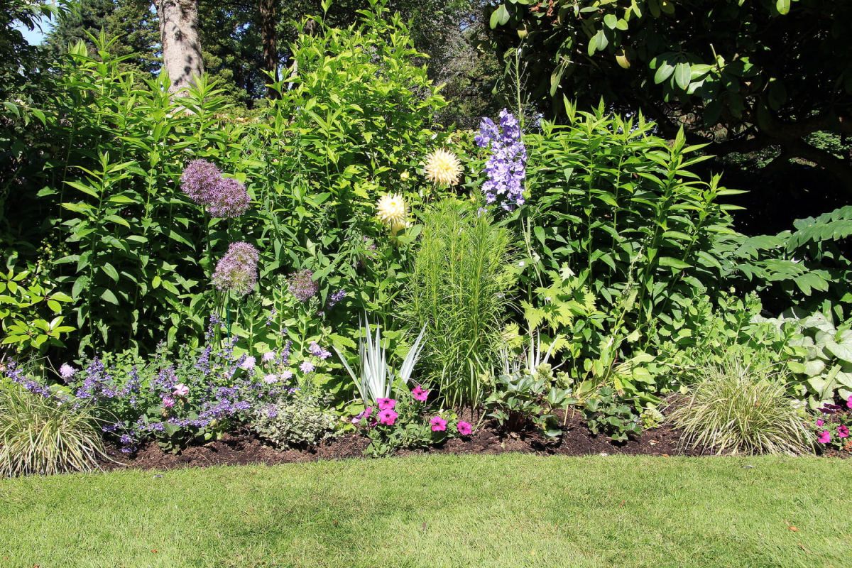 Les indispensables du jardinage en juillet et août pour un jardin épanoui