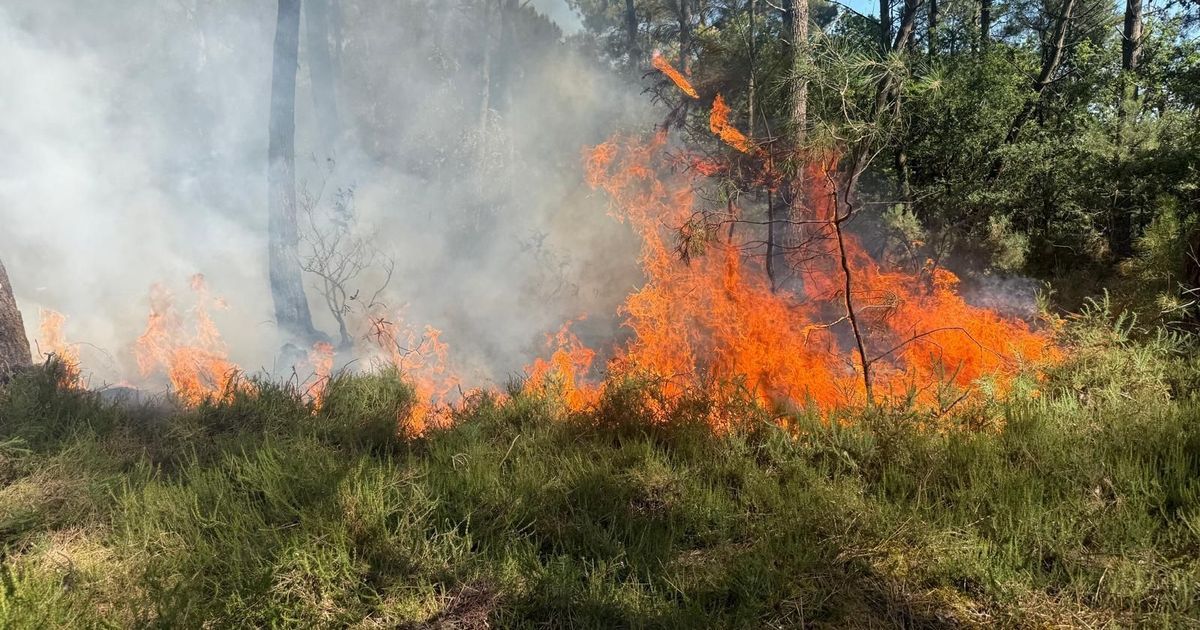 Bains-sur-Oust : le combat contre les flammes s'intensifie près de Redon