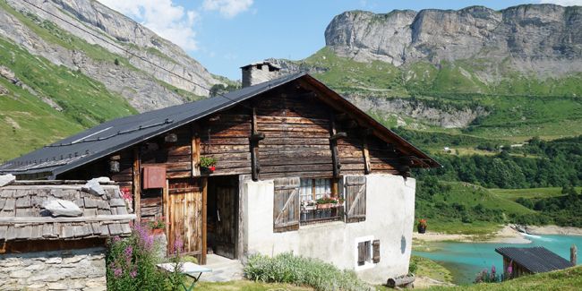 Cultiver un jardin épanoui en climat froid : les meilleures plantes à choisir