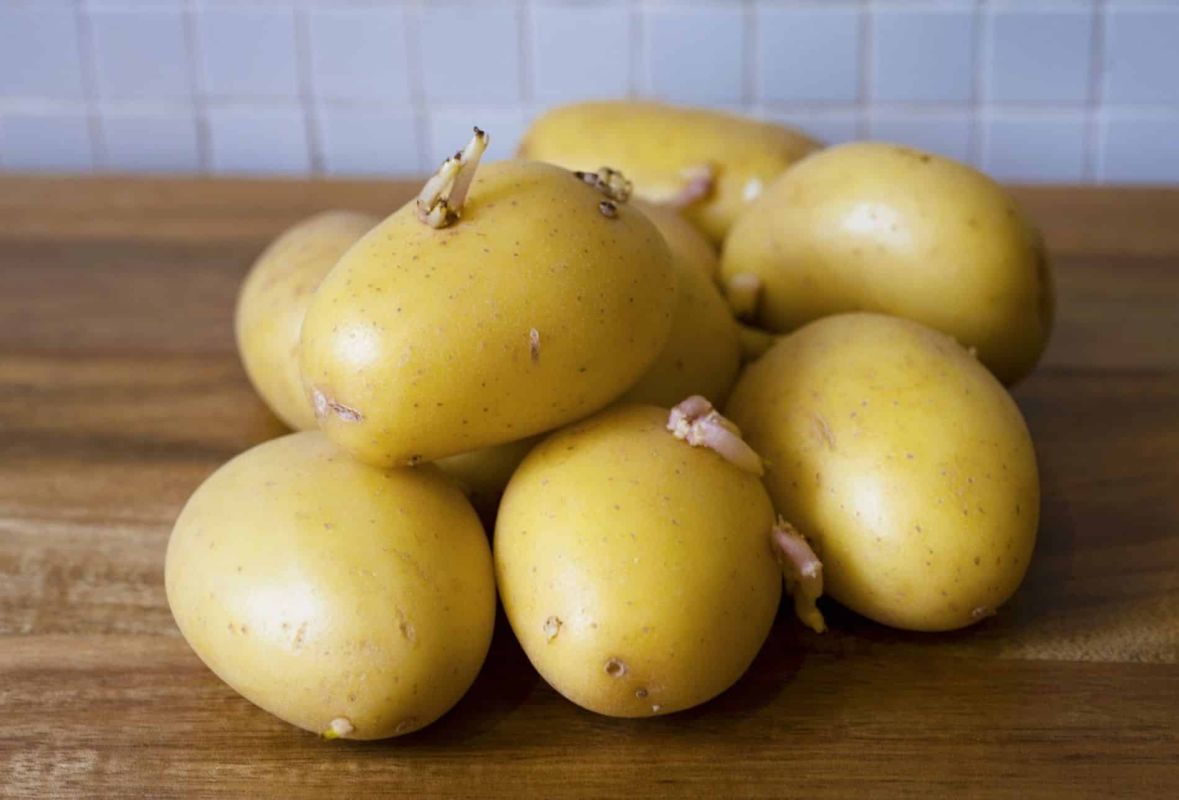 Le guide ultime pour cultiver des pommes de terre du supermarché sans risque