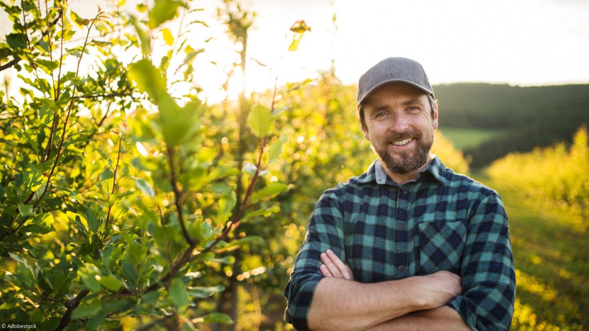Retraites agricoles : décryptage du calcul des pensions