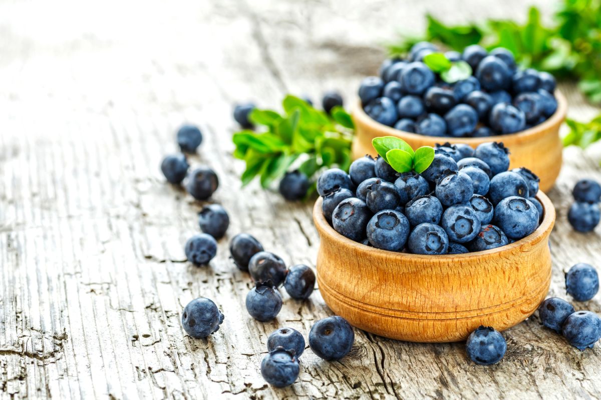 Pourquoi les myrtilles sont le fruit incontournable de l'été