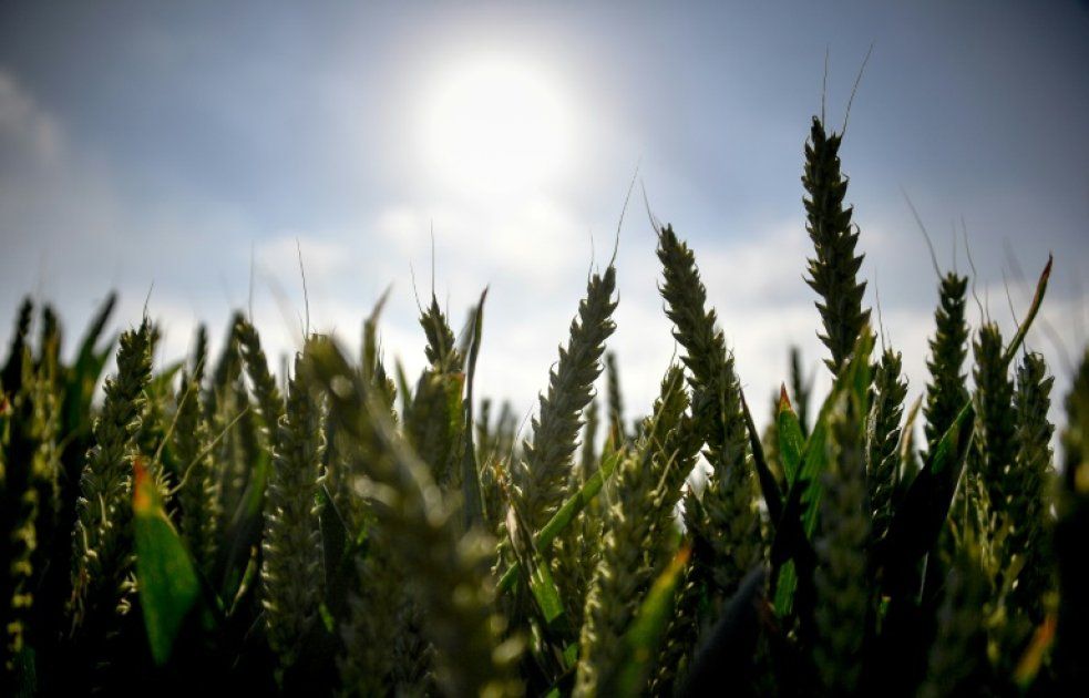 Investissements climatiques : la France face à un défi majeur