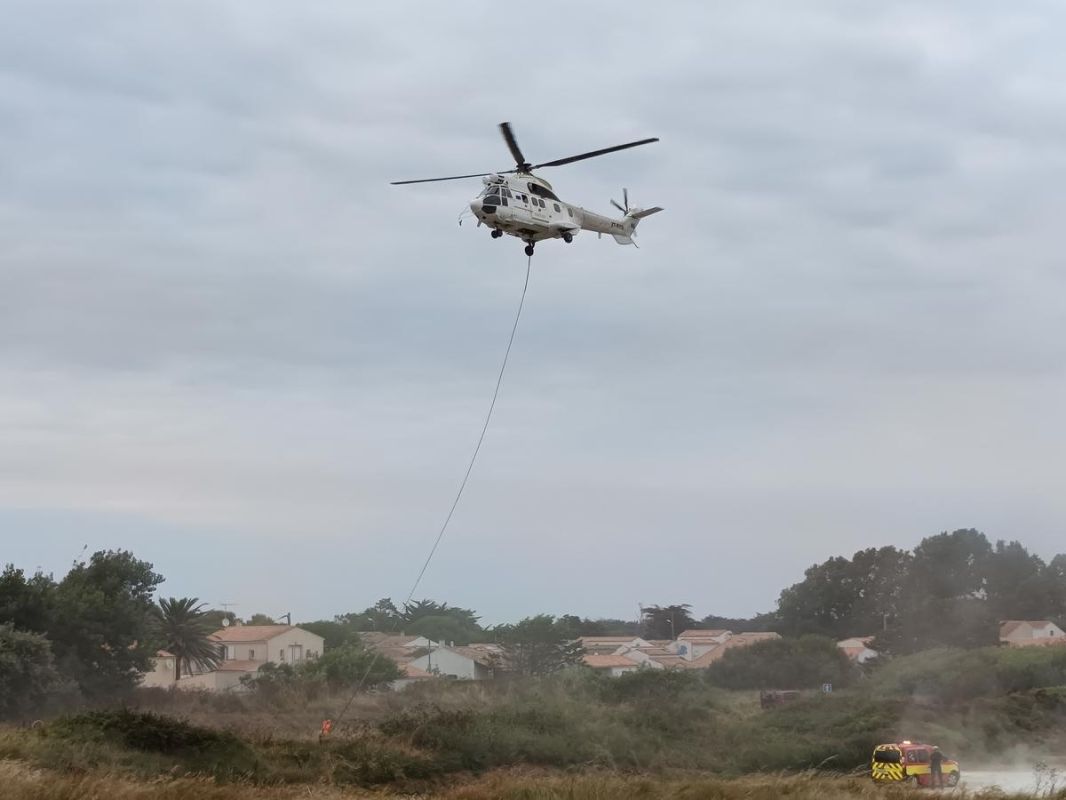Un incendie maîtrisé à Cercoux : deux hectares de végétation en flammes