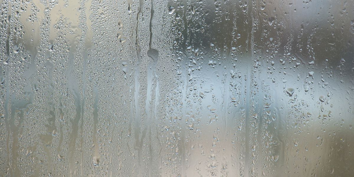 10 astuces efficaces pour éliminer la condensation sur vos fenêtres