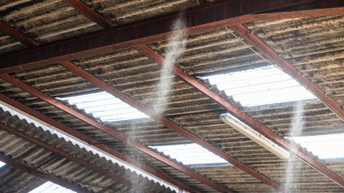 Canicule et élevage : les défis d'un producteur de lait face à la chaleur intense
