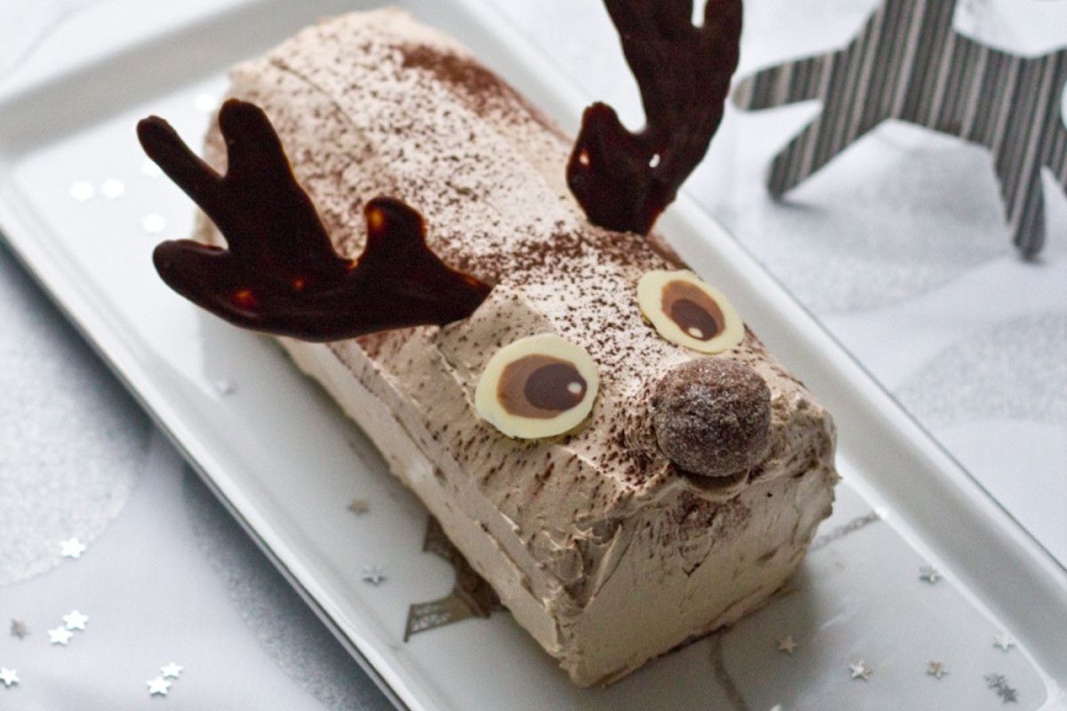 bûche rudolf le renne chocolat – praliné