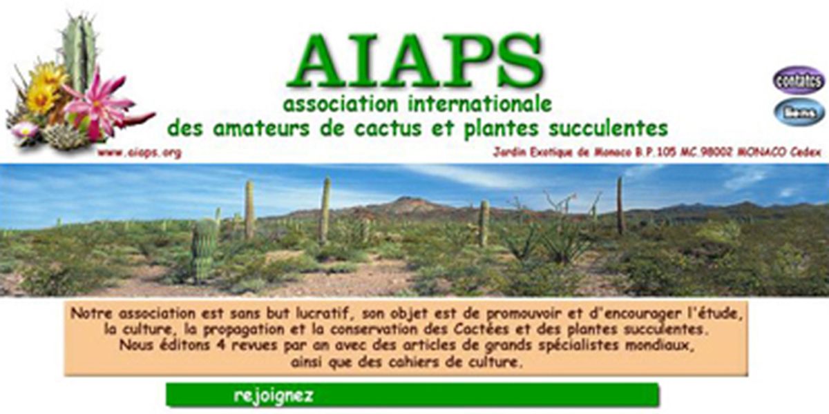 découverte des cactus et plantes succulentes avec l'a.i.a.p.s.