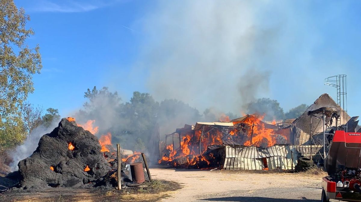 Incendie majeur à Château-la-Vallière : 40 pompiers mobilisés pour maîtriser les flammes