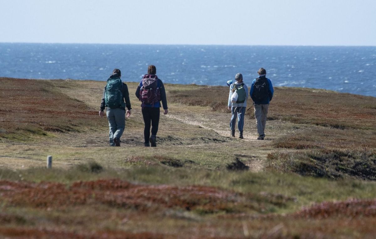 Tragédie à Belle-Ile : le maire de Locmaria trouve la mort après une dispute avec un plaisancier