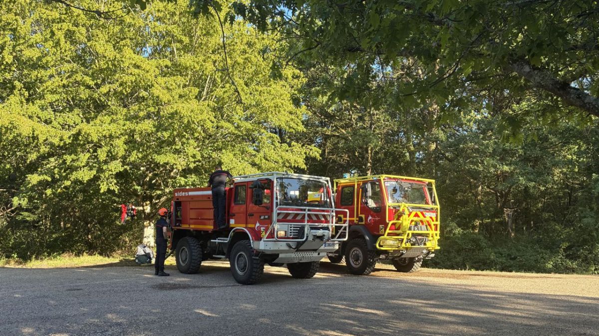 Un incendie fait rage dans le parc de Chambord