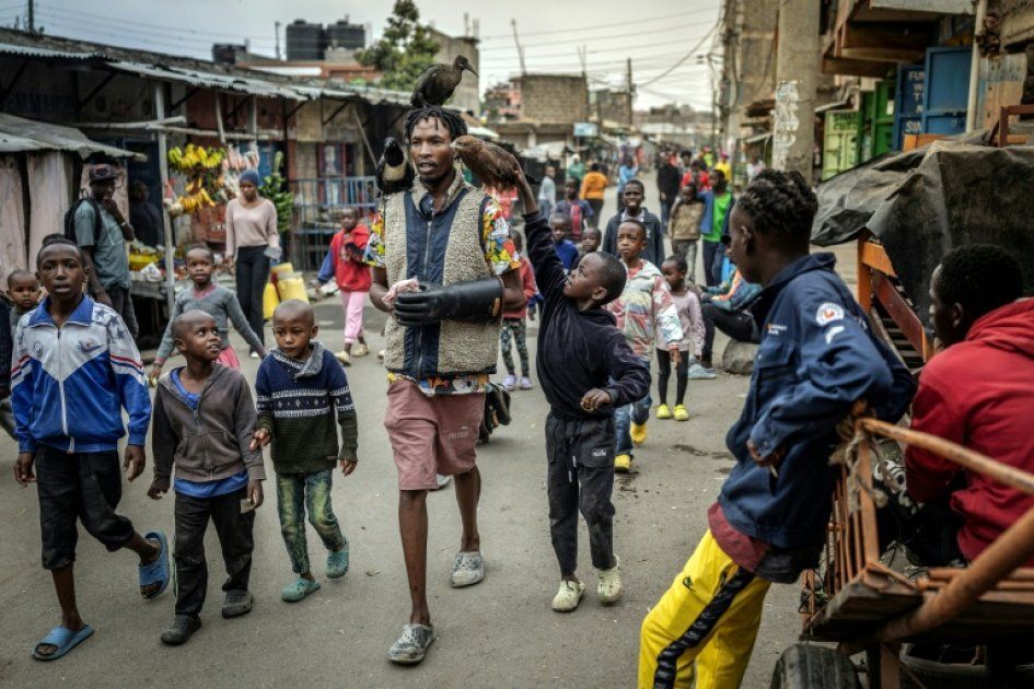 l'homme-oiseau de Nairobi : icône des réseaux ou danger pour la santé ?