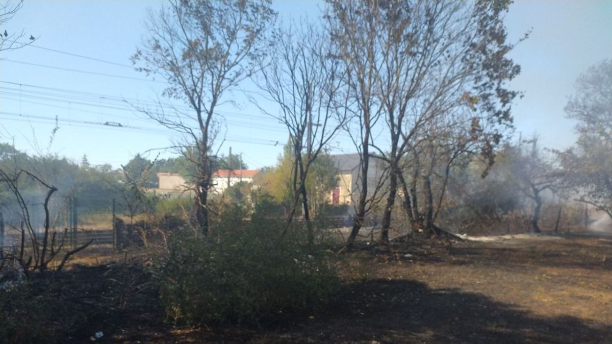 Des incendies dévastateurs en Deux-Sèvres : retour en alerte rouge