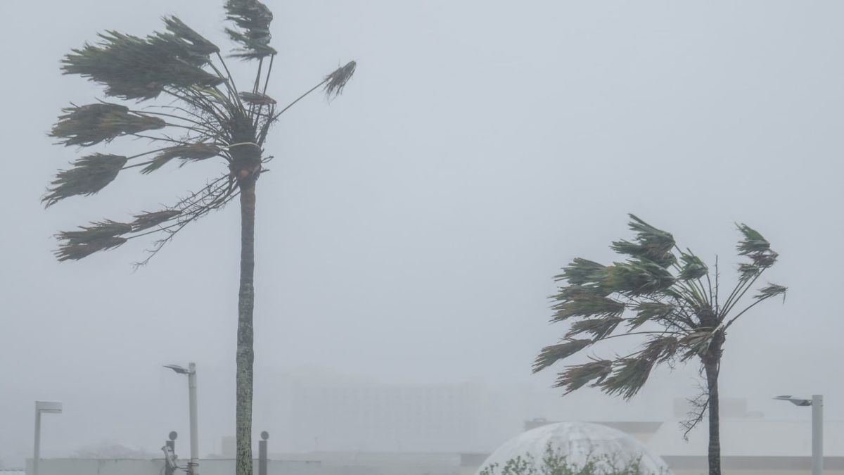 Rota face à la tempête : un super-typhon rend l'île inhabitable