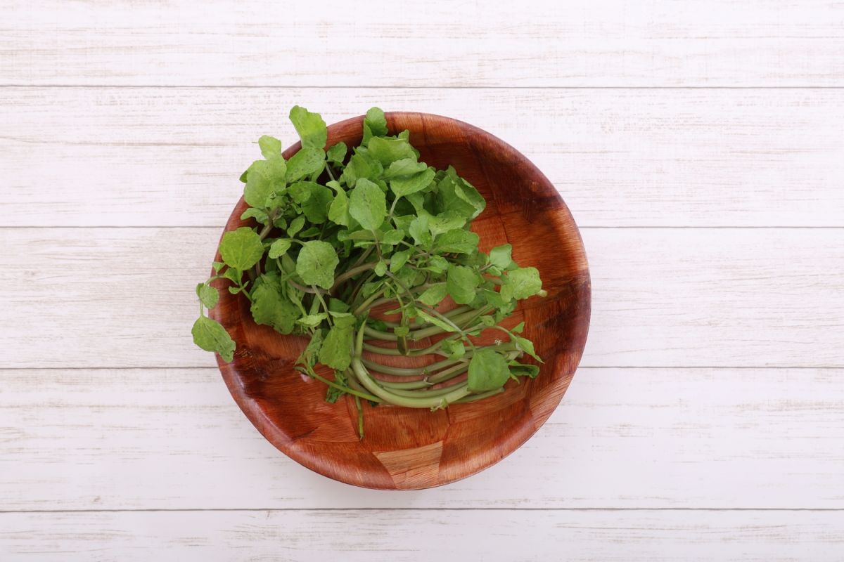 Découvrez le super légume méconnu qui pourrait transformer votre santé