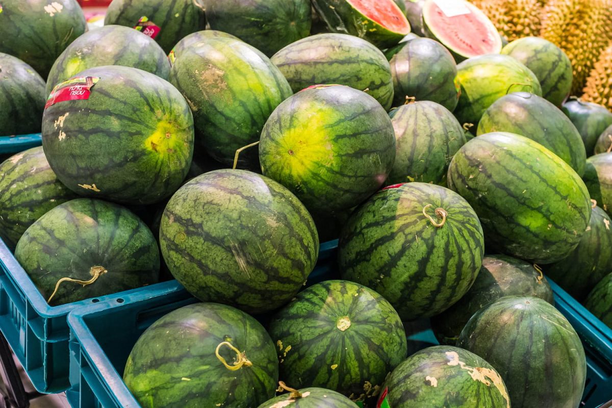 L'astuce infaillible pour choisir une pastèque sucrée en un clin d'œil