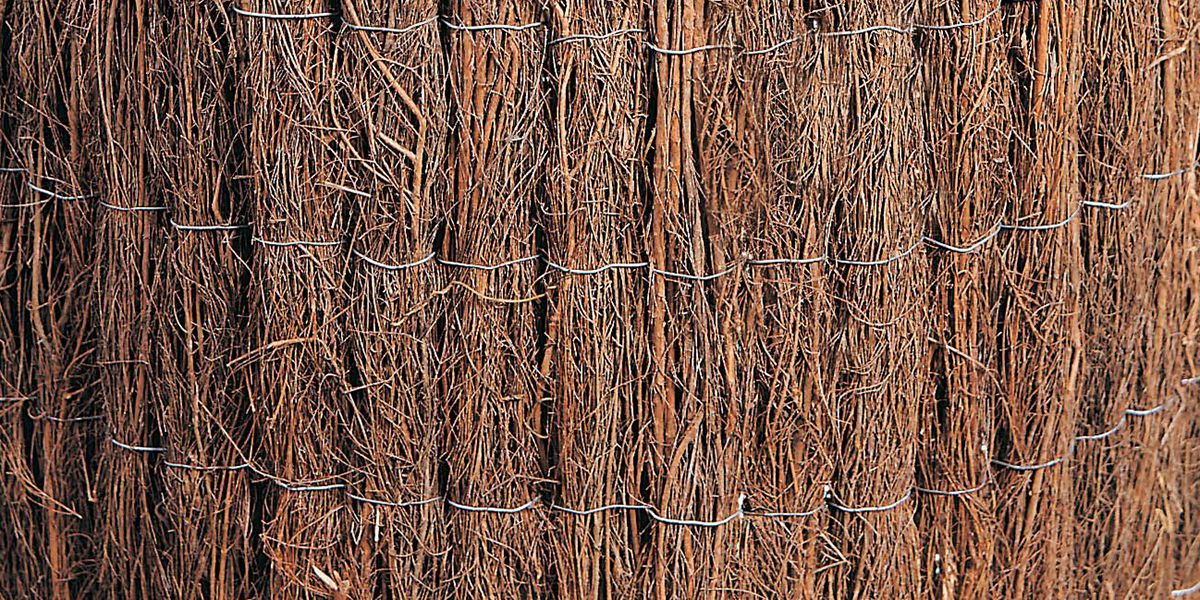 Quand la brande de bruyère sublime vos espaces extérieurs