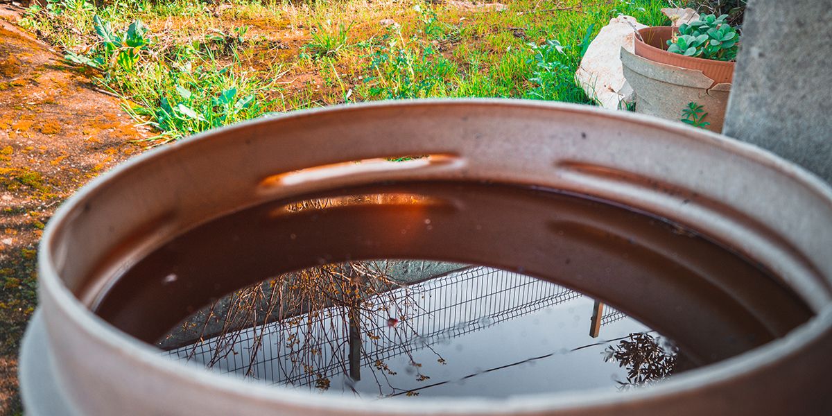 Des astuces pour une eau de pluie toujours propre