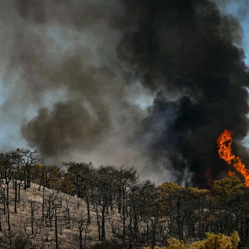 Incendies en série : la justice frappe fort contre les pyromanes
