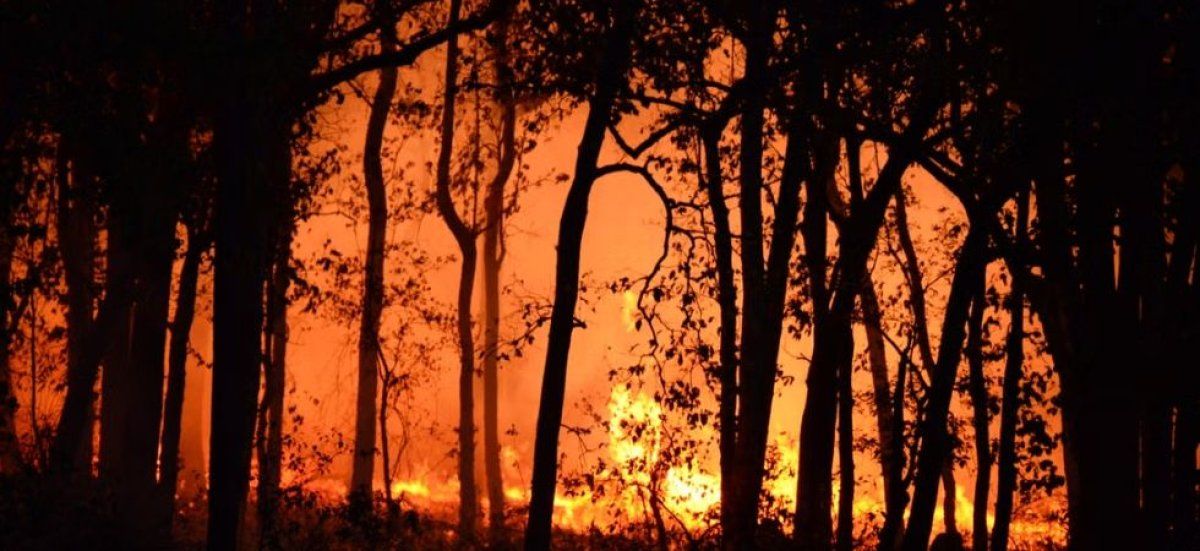 Les Français appelés à la vigilance face aux incendies dévastateurs