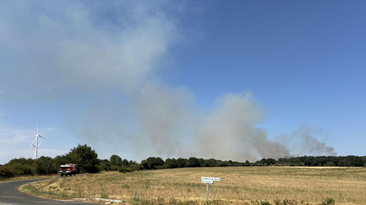 Un incendie de forêt mobilise 41 pompiers à Jazeneuil, en Vienne