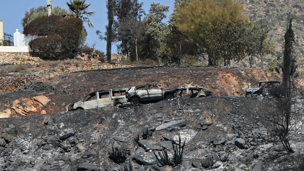 L'incendie tragique de Los Gallardos : qui sont les douze victimes ?