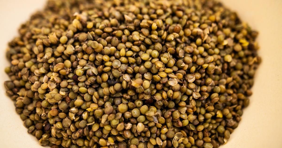Découvrez le secret d'une cuisson parfaite des lentilles vertes