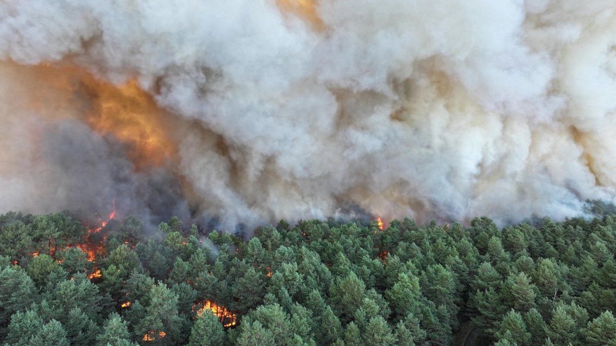 Des incendies ravagent la France alors que la canicule perdure