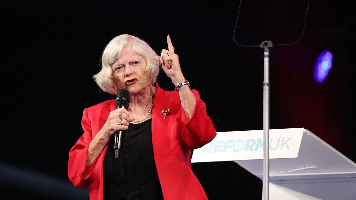Meurtre d'Ann Widdecombe : la police antiterroriste entre en scène après l'arrestation d'un suspect