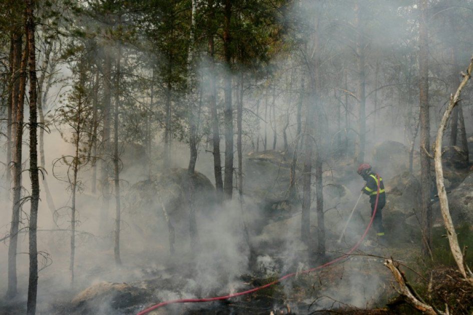 Incendies dévastateurs en forêt de Fontainebleau : 2 000 hectares en flammes