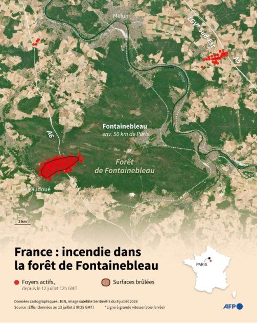 Incendies maîtrisés en forêt de Fontainebleau : un pompier parmi les suspects