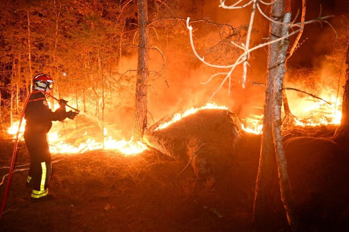 Des jeunes en garde à vue pour l'incendie dévastateur de Fontainebleau