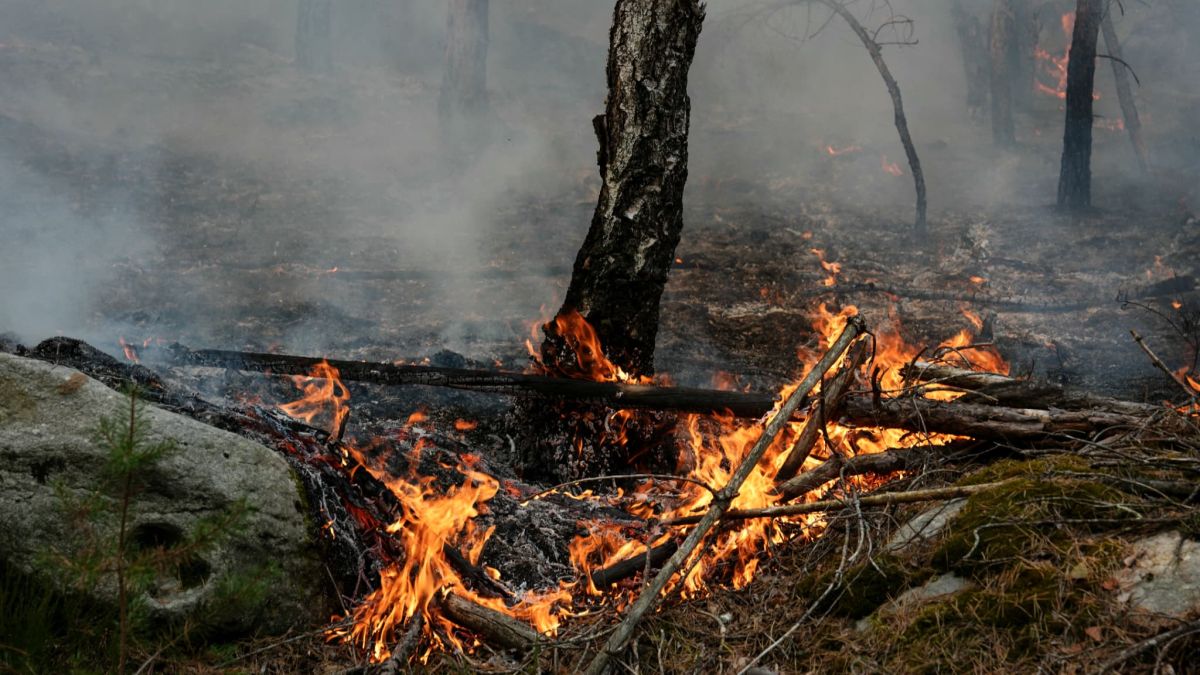 Une arrestation supplémentaire dans l'incendie de Fontainebleau : nouvelles révélations troublantes