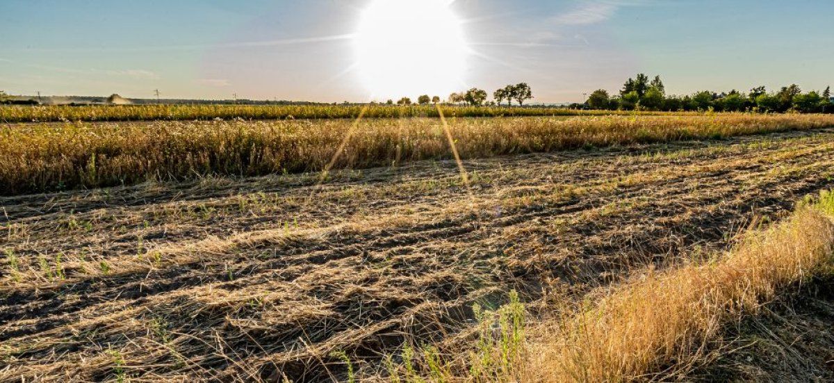 La France face à une sécheresse inquiétante : vers une crise de l'eau sans précédent ?